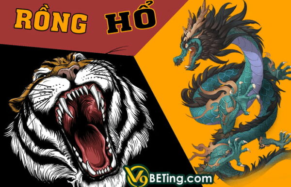 Hướng dẫn chơi rồng hổ cho người mới