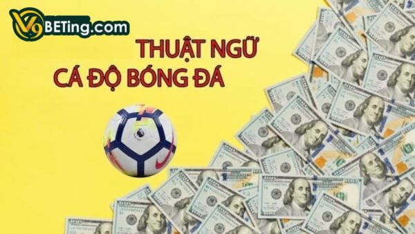 Các thuật ngữ cá độ bóng đá