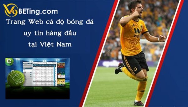 Tìm hiểu các web cá cược uy tín