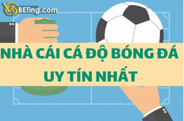 TOP những web cá cược uy tín hàng đầu