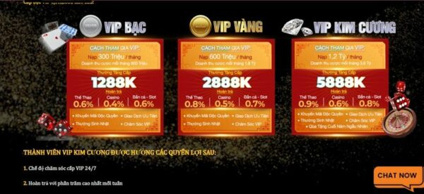 Những lợi ích khi trở thành VIP nhà cái